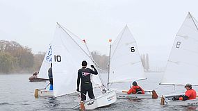 image-13429