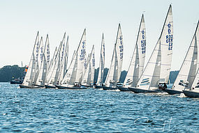 image-10031