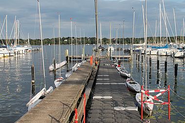 image-9202