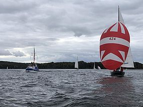 image-10130