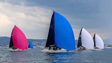 image-10511